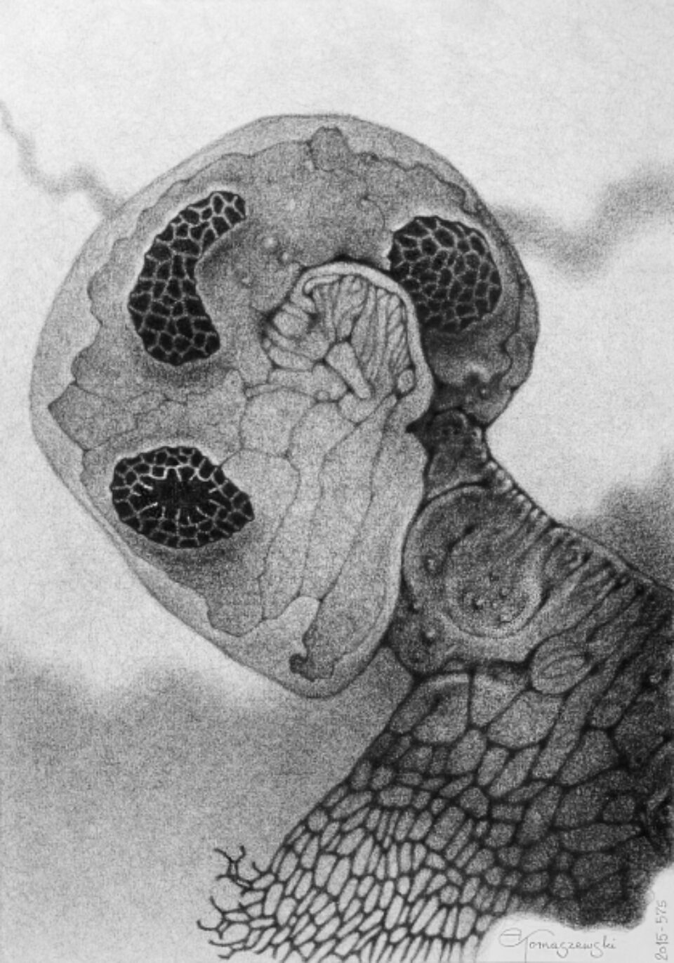 Andrzej Tomaszewski 0370