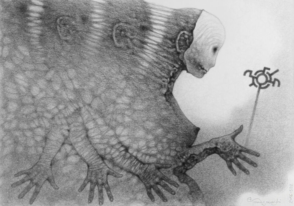 Andrzej Tomaszewski 0384