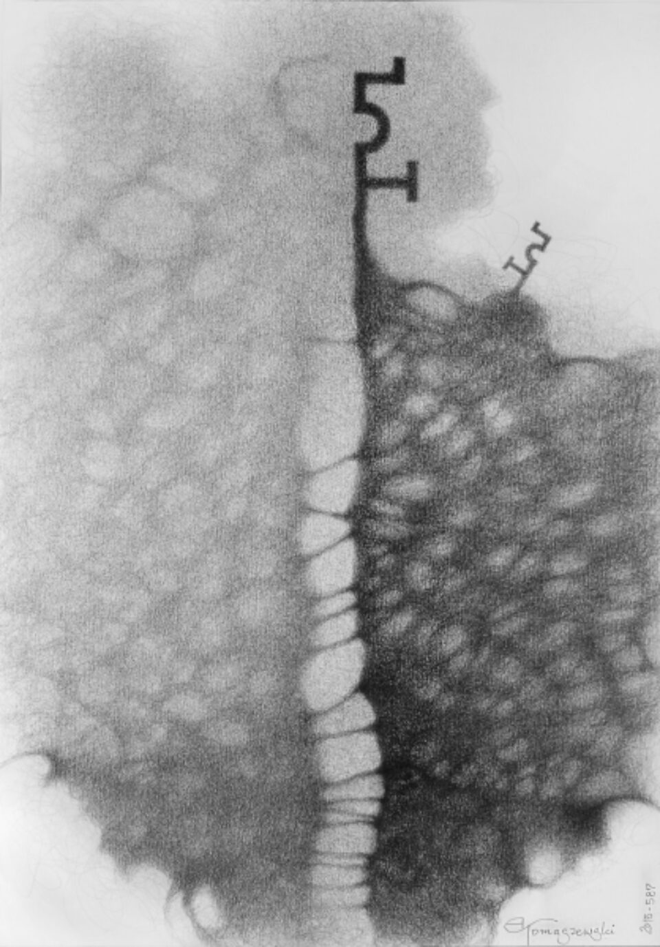 Andrzej Tomaszewski 0380