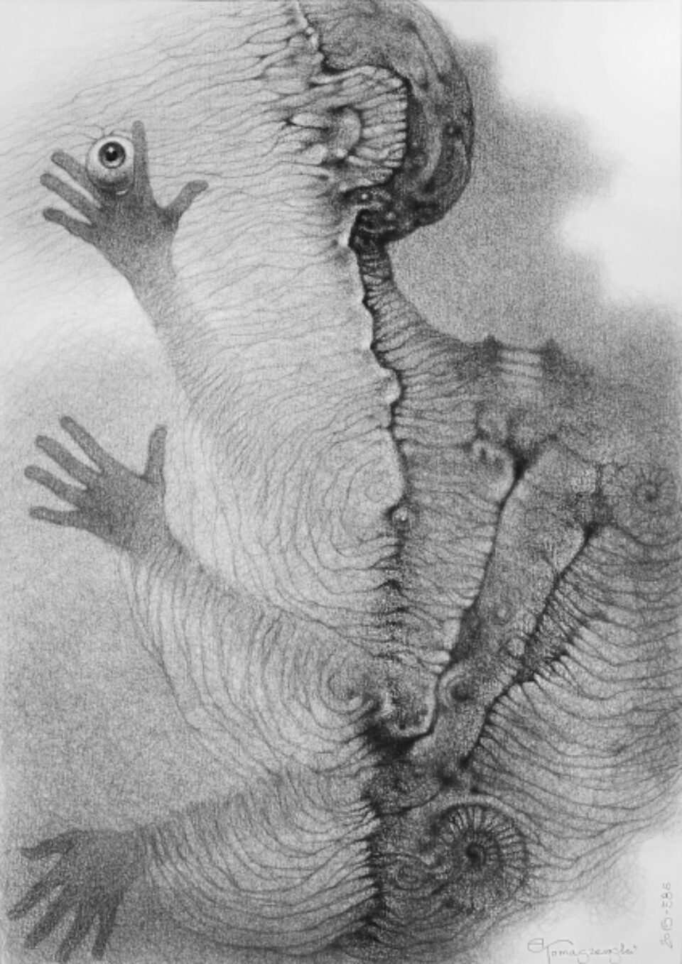 Andrzej Tomaszewski 0379