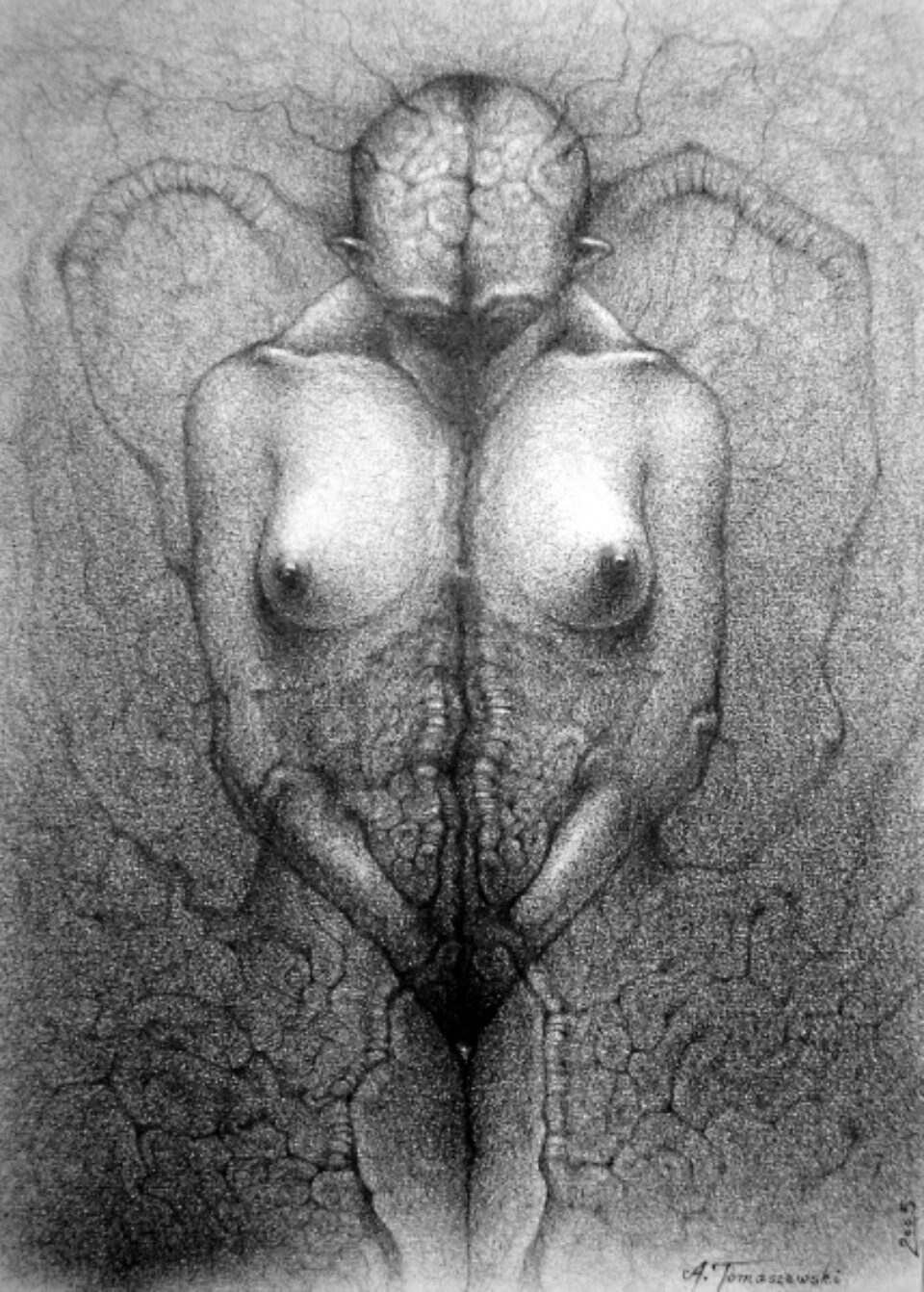 Andrzej Tomaszewski 0313