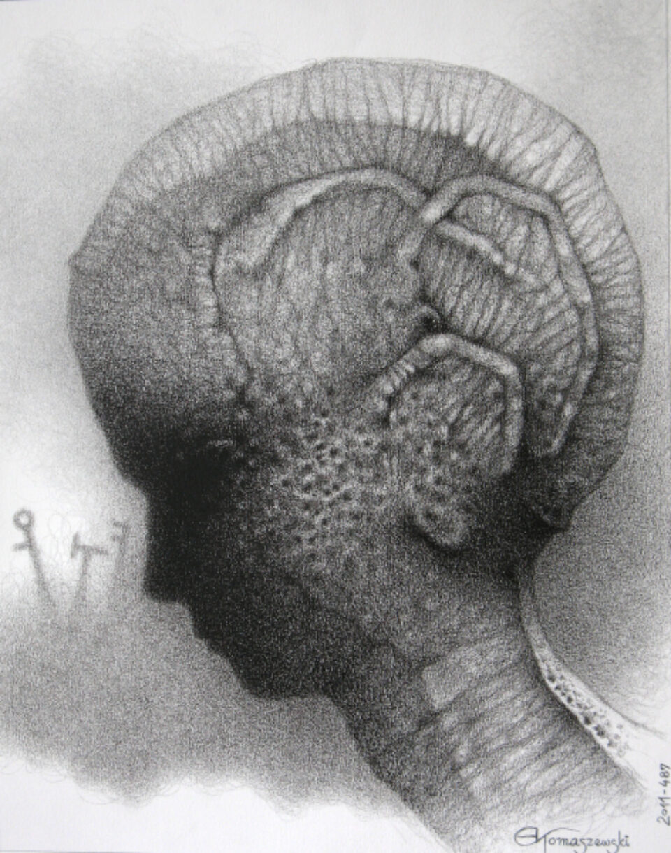 Andrzej Tomaszewski 0345