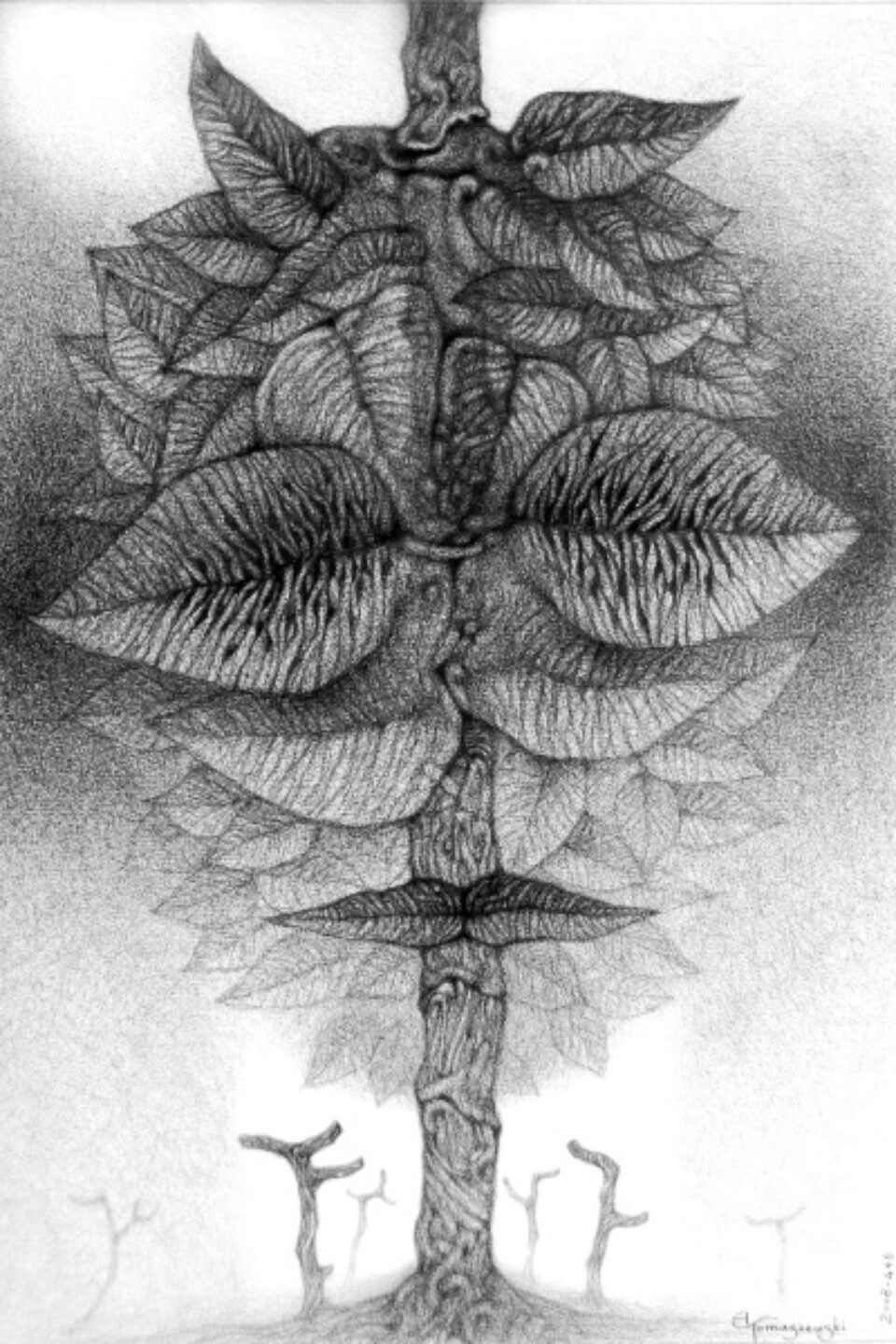 Andrzej Tomaszewski 0330