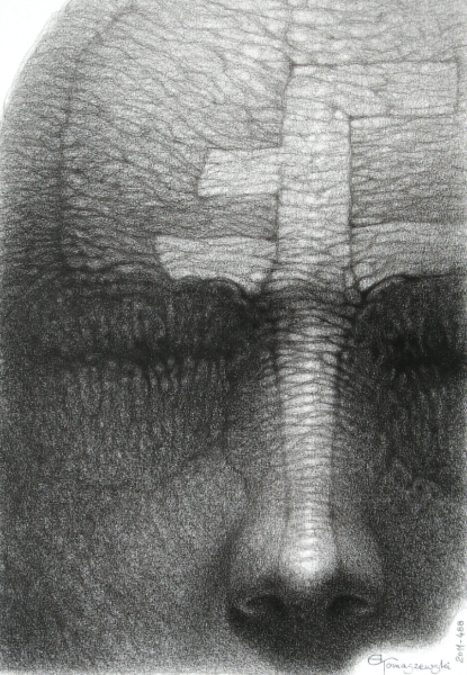 Andrzej Tomaszewski 0346