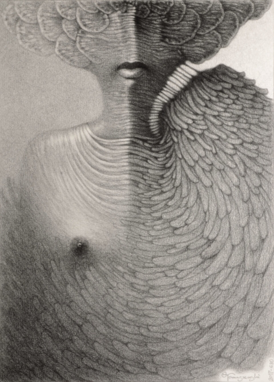 Andrzej Tomaszewski 0397