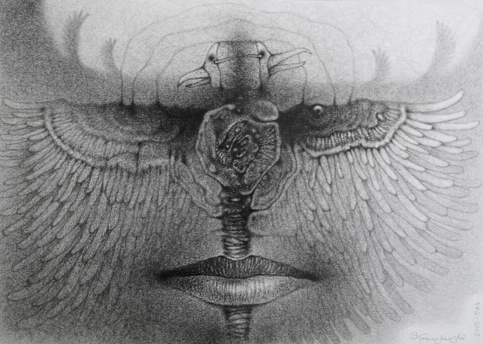 Andrzej Tomaszewski 0377