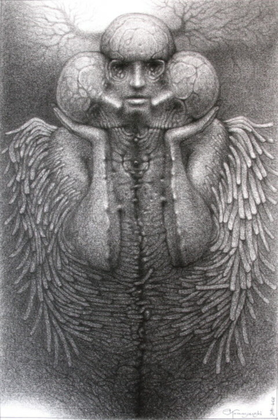 Andrzej Tomaszewski 0339