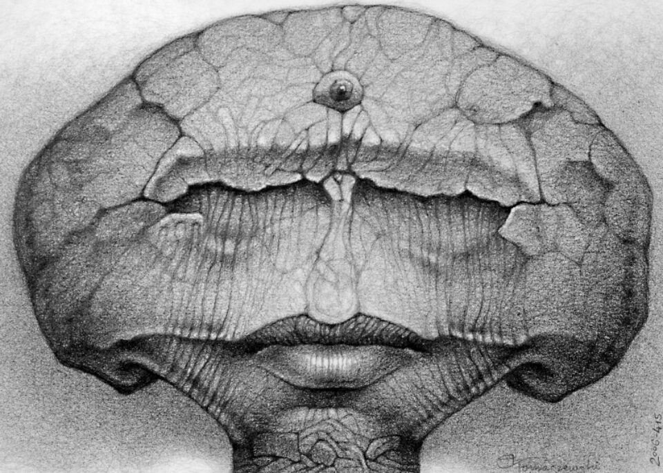 Andrzej Tomaszewski 0321